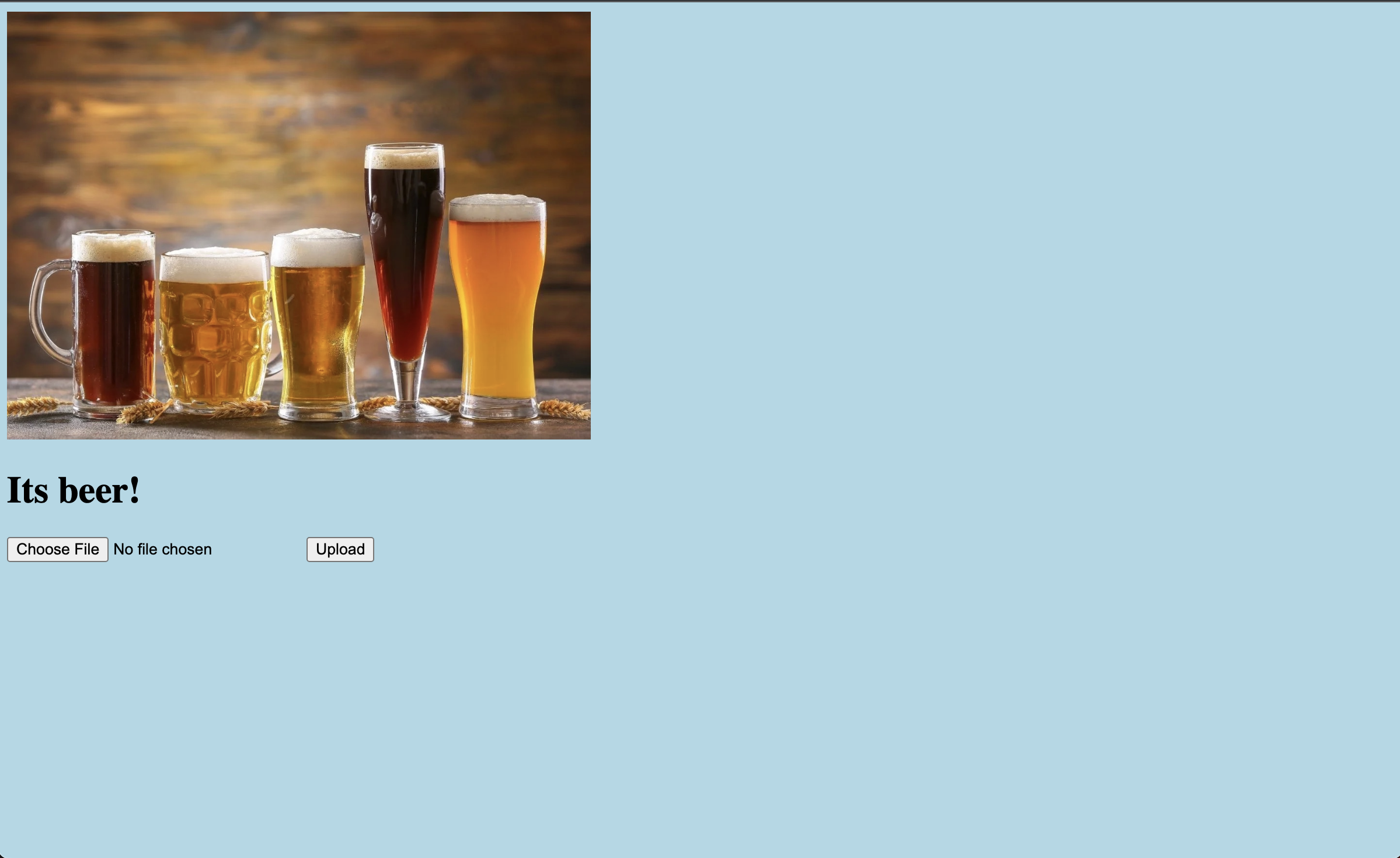 picture of beer detector app